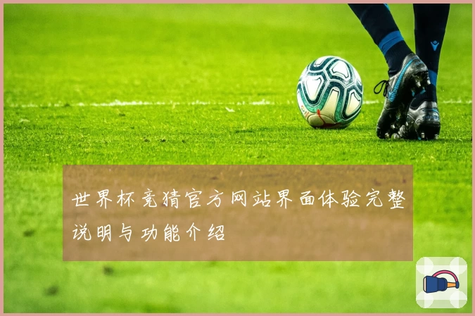 世界杯竞猜官方网站界面体验完整说明与功能介绍