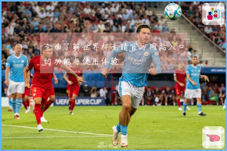 全面了解世界杯竞猜官方网站入口的功能与使用体验