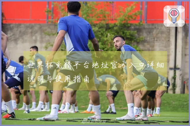 世界杯竞猜平台地址官方入口详细说明与使用指南